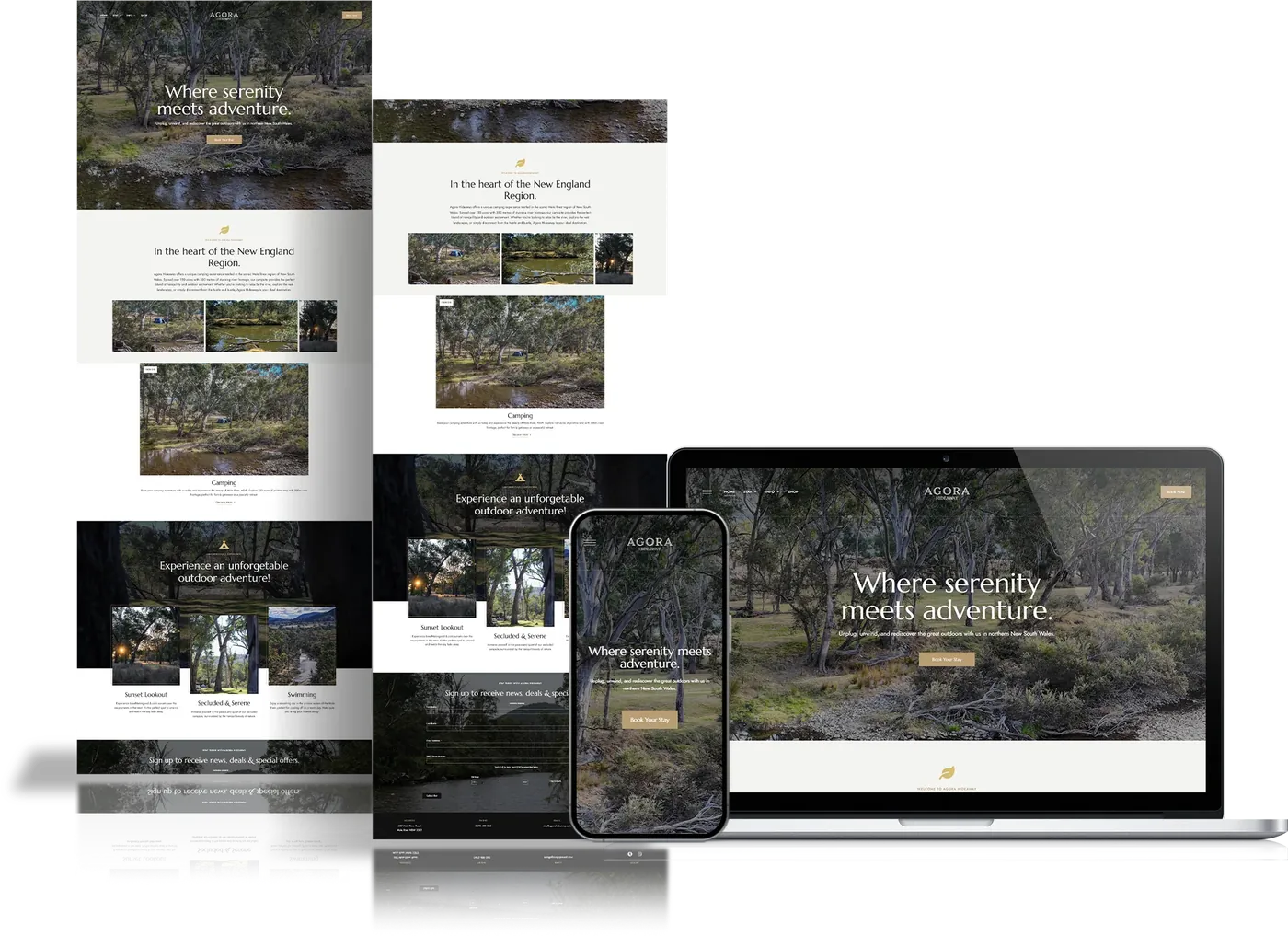 Website Development